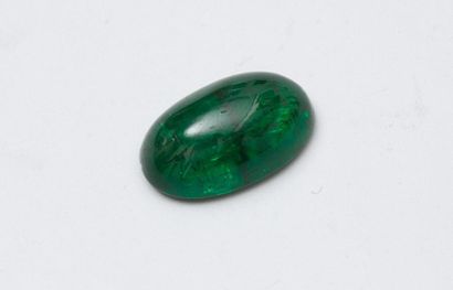 null Emeraude cabochon ovale.

Poids de la pierre : 12,06 cts

