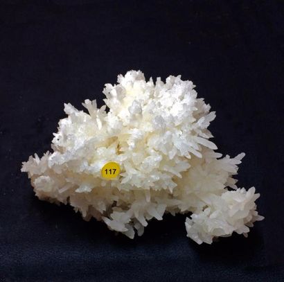 null Deux minéraux : ARAGONITE blanche coraliforme de Grèce (12 cm) ; DISTHENE en...