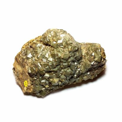 null Rare grenat var. ANDRADITE (10 cm), à cristaux centimétriques brun verts, brilliants....