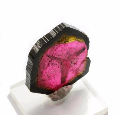 null TOURMALINE : belle tranche gemme, quasi complete (16g, 52 x 44 x 4 mm). Cœur...