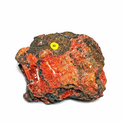 null Jolie CROCOITE (12 cm), Dundas, Tasmanie