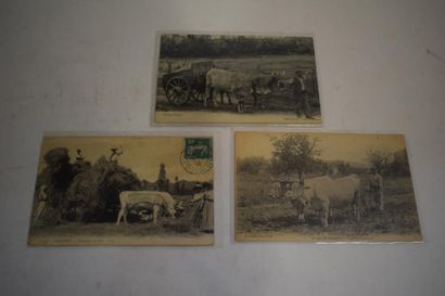 null [ Cartes postales ] [ Agriculture ] [ Pyrénées ]

Ensemble de trois cartes postales...