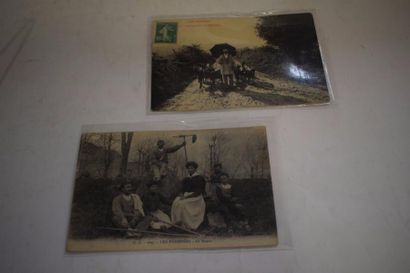 null [ Cartes postales ] [ Elevage ] [ Pyrénées ]

Ensemble de deux cartes postales...