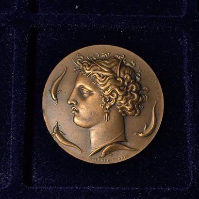 null [ Seine et Oise ]



Médaille en bronze. 

A l'avers : profil déesse grecque

S.b....