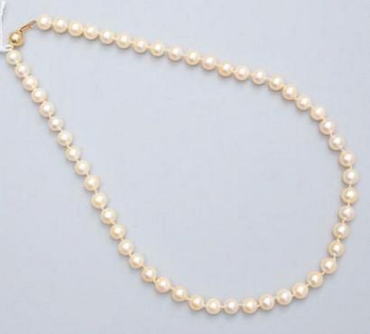 null Collier de perles, fermoir en or jaune 18k (750).

Poids brut : 35.2 g. 