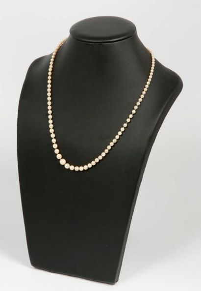null Collier de perles en chute, fermoir en or jaune 18k (750).

L. : 25 cm