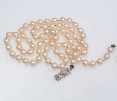 null Collier de perles choker.

L. : 72 cm.