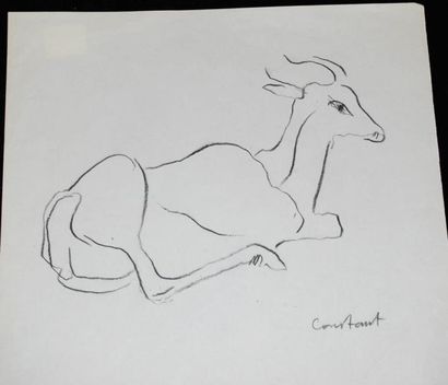 null CONSTANT Joseph (1892 - 1969)

Perroquets - Antilopes

Deux dessins au fusain...