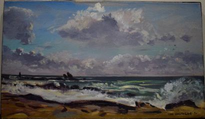 null ELHINGER Christian (1931)

Paysage du Morbihan, 90

Huile sur toile

24 x 41.5...