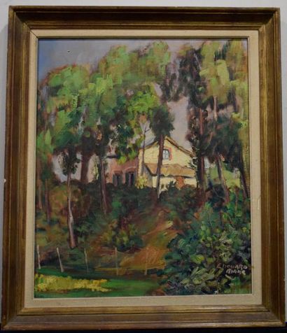 null MATIE Edouard (1905-1992) 

Maison derrière des arbres

huile sur toile signée...