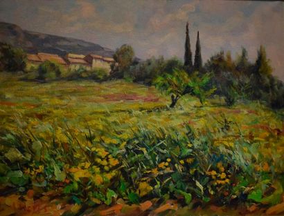 null SIEYES Auguste (XXème siècle)

les fleurs jaunes à Aubagne,

huile sur toile...