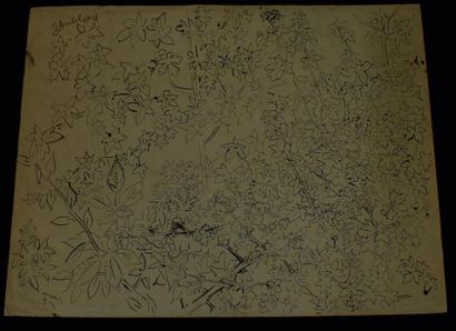 null AMBLARD Jean (1911-1989)

Feuillages

dessin à l'encre de chine

50 x 64.7 ...