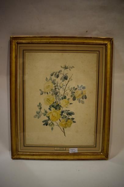 BROCQQ Pierre Jules 1811 - vers 1862 
1 - Etude de fleurs
Crayon noir et aquarelle...