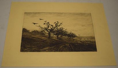 null DAUBIGNY Charles Francois (1817-1878)



L'arbre aux corbeaux

Lithographie...