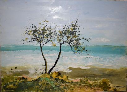 null JOUENNE Michel, né en 1933
La mer turquoise
huile sur toile signée en bas à...
