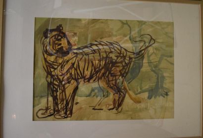 null SHA QI, attribué à,
Jeune tigre,
peinture sur papier, non signé,
49x69 cm.