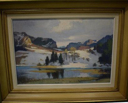 null WEGELIN Emile (1875-1962)

Le lac d'Ilay sous la neige

Huile sur toile signée...
