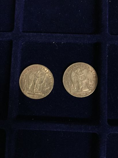 null FRANCE
2 pièces or 20 francs Génie (1877 A)
Av/Génie de la République debout...