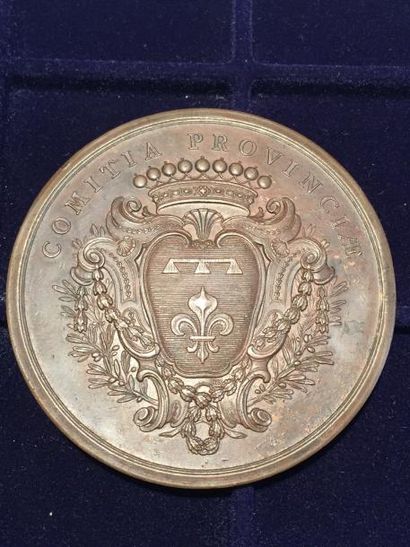 null [LOUIS XV] 

Médaille commémorative en cuivre Louis XV, récompense des États...