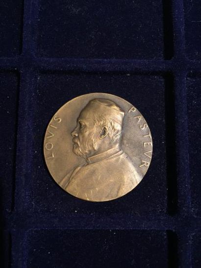 null [PASTEUR]

Médaill ene bronze 1898, Louis Pasteur Institut Pasteur par O.ROTY...