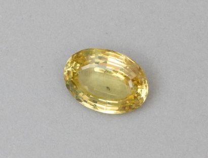 null Chrysoberyl jaune ovale

Poids de la pierre : 17.26 cts

