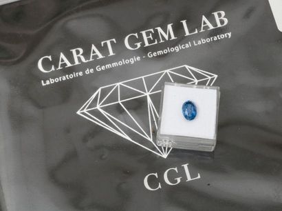 null Saphir oval (3.77 ct), couleur Bleu intense.

Certificat GEM LAB CGL11525 d'avril...