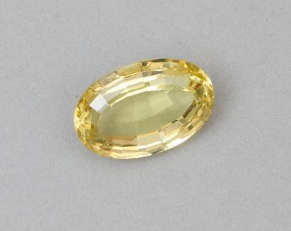null Chrysoberyl jaune ovale

Poids de la pierre : 17.10 cts

