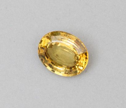 null Chrysoberyl jaune ovale

Poids de la pierre : 15.80 cts


