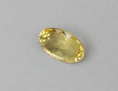 null Beryl jaune ovale 

Poids de la pierre : 20.50 cts 

