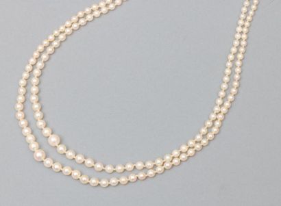 null Collier de perles double rangs, fermoir en or gris 18k (750).

Poids brut :...