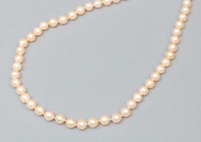 null Collier de perles fantaisie.

