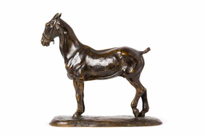 D'ILLIERS GASTON, 1876-1932 
Cheval: Jack
bronze à patine brun foncé (usures et griffes...