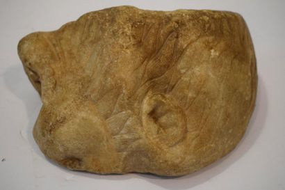 null Tête de lionne en marbre

Epoque romaine
18,7x13,2 cm.