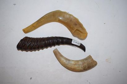 null Lot de trois Shofar en corne.

Début du XXème siècle.

16 à 24 cm.