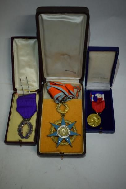 null Lot :

Commandeur du Mérite Social (accident)

Médaille du Travail

Palmes académiques...