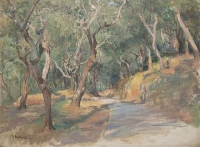 null HOLLAENDER Alfonso, 1845-1923,

 Chemin creux aux arbres,

 huile sur toile,...