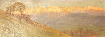 null MOUTHIER Hippolyte (1880-1975)

Vue des Alpes

Huile sur carton signée en bas...