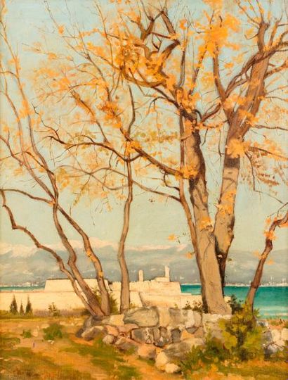 null HARPIGNIES Henri Joseph, attribué à

Arbres devant le fort d'Antibes sur la...