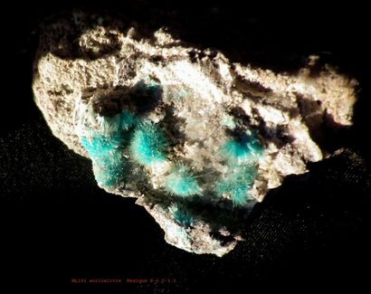 null Trois minéraux anciens du Mexique. DANBURITES de San Luis Potosi : exceptionnel...