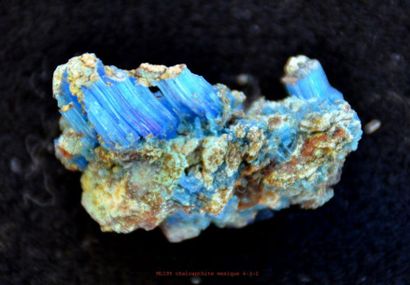 null Ancienne CHALCANTITE du Mexique (4 cm) : cristaux bleu vif (2 cm environ) sur...