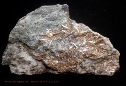 null Deux minéraux russes anciens : jolie DATOLITE (12 cm) de Dal'negorsk. ASTROPHYLLITE...