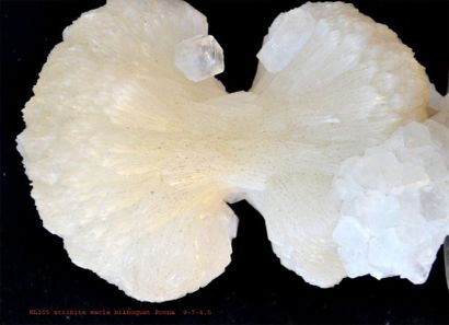 null Quatre minéraux anciens de Poona, Indes : SCOLECITE en gerbe (16 cm) ; PREHNITE...