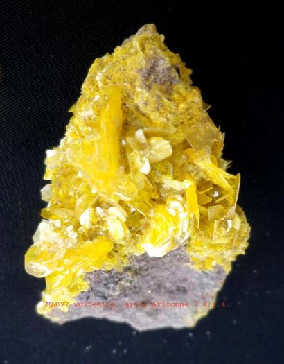 null Trois jolis petits minéraux nord américains : WULFENITE (7 cm) en pétales jaune...