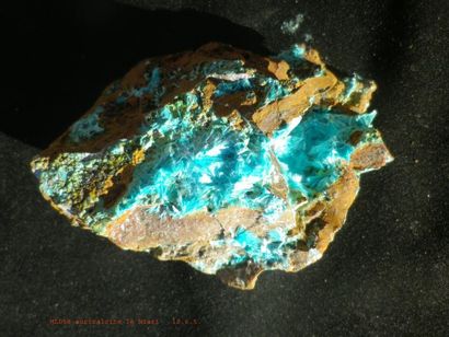 null Trois minéraux anciens du Congo : AURICHALCITE fibroradiée sur gangue de Kipushi...