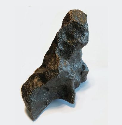 null Exceptionnelle et peu courante METEORITE étiquetée Baygorria, Province du Rio...