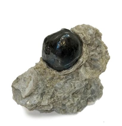 null Cinq minéraux anciens des USA : larme d'Apache (recollée) sur gangue (6 cm)...