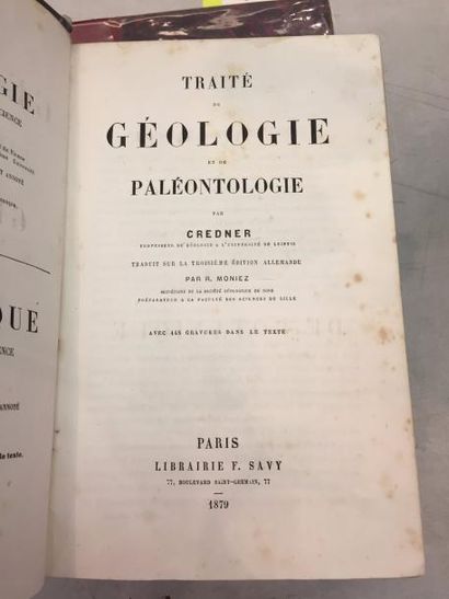 null Livre ancien : "Traité de Géologie et de Paléontologie" par CREDNER, de 1879....