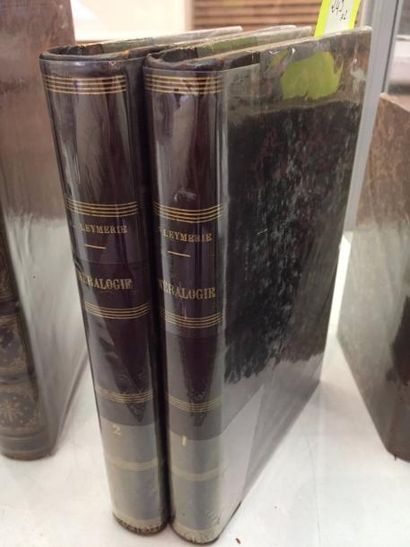 null Livre ancien : "Minéralogie" par A. LEYMERIE, de 1867 (2ème édition). Deux volumes,...