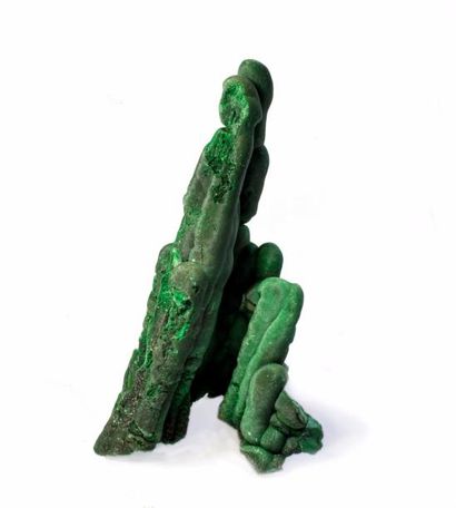 null Elégante MALACHITE (15 cm) du Katanga, R.D. du Congo : stalactites en forme...