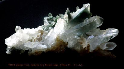null QUARTZ chloriteux : petit groupe avec fantomes verts (8 cm) du Lac Besson, Alpe...